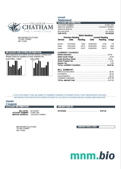 Szablon rachunku za media Biznesowe w USA Village of Chatham w formatach Word i PDF